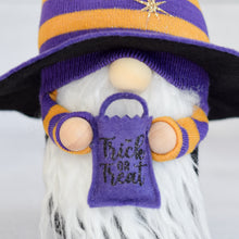 Load image into Gallery viewer, Wizard Gnome