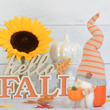 Load image into Gallery viewer, Pumpkin Gnome
