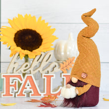 Load image into Gallery viewer, Autumn Tones Gnome
