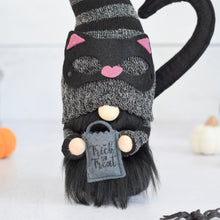Load image into Gallery viewer, Black Cat Gnome
